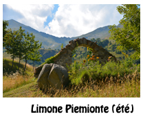 limone piemonte